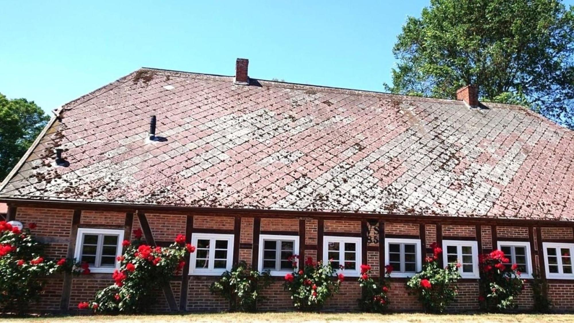 Luedersburger Strasse 15A Daire Dış mekan fotoğraf